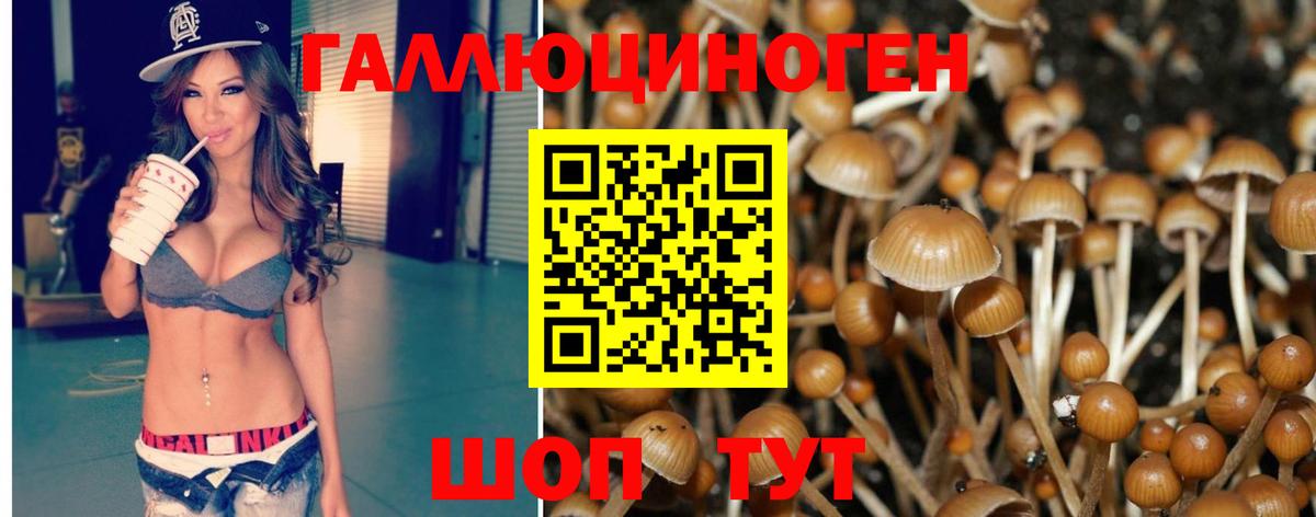 Галлюциногенные грибы мухоморы  Вход с VPN  что такое   Новокузнецк 